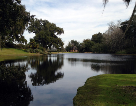 Middleton Place Plantation Pond with Building