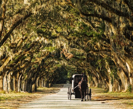 Charleston Travel Guide