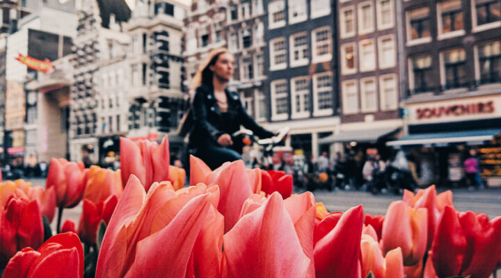 What to Wear to Amsterdam in the Spring