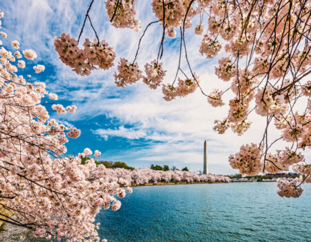 Washington, DC Spring Cherry Blossoms - What to Wear to Washington, DC in the Spring